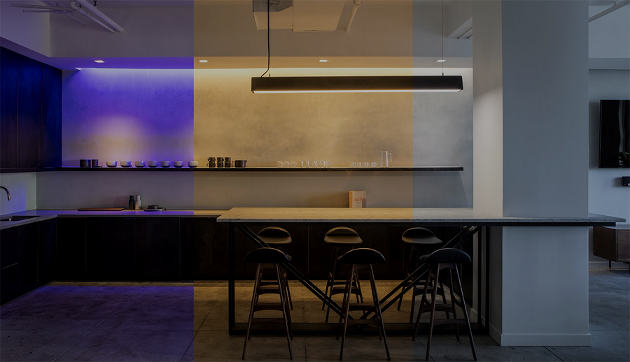 Lutron lighting control Bellevue